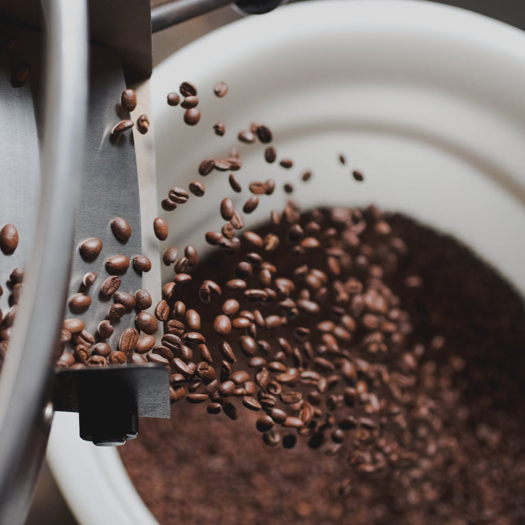 【10月新商品情報】